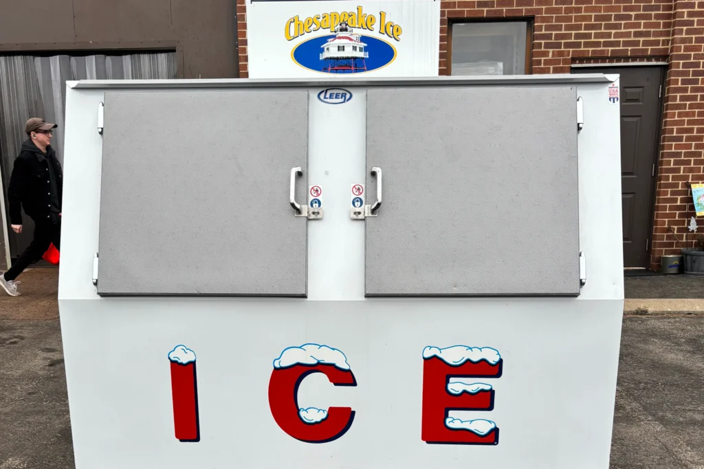 Ice Merchandiser Cold Storage